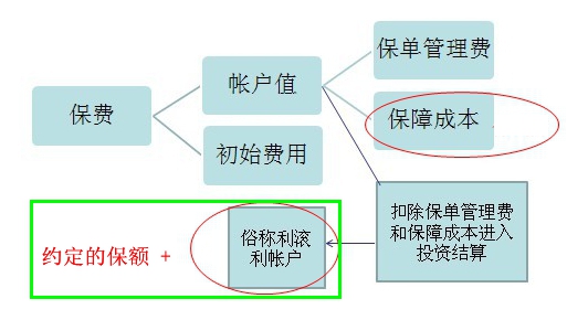 “万能险”万能保险并不万能！