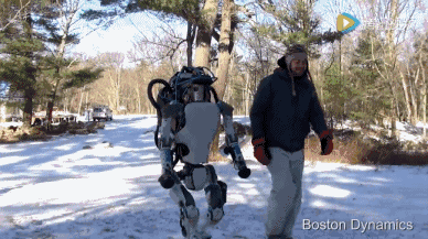 智能机器人，未来最赚钱项目？.gif